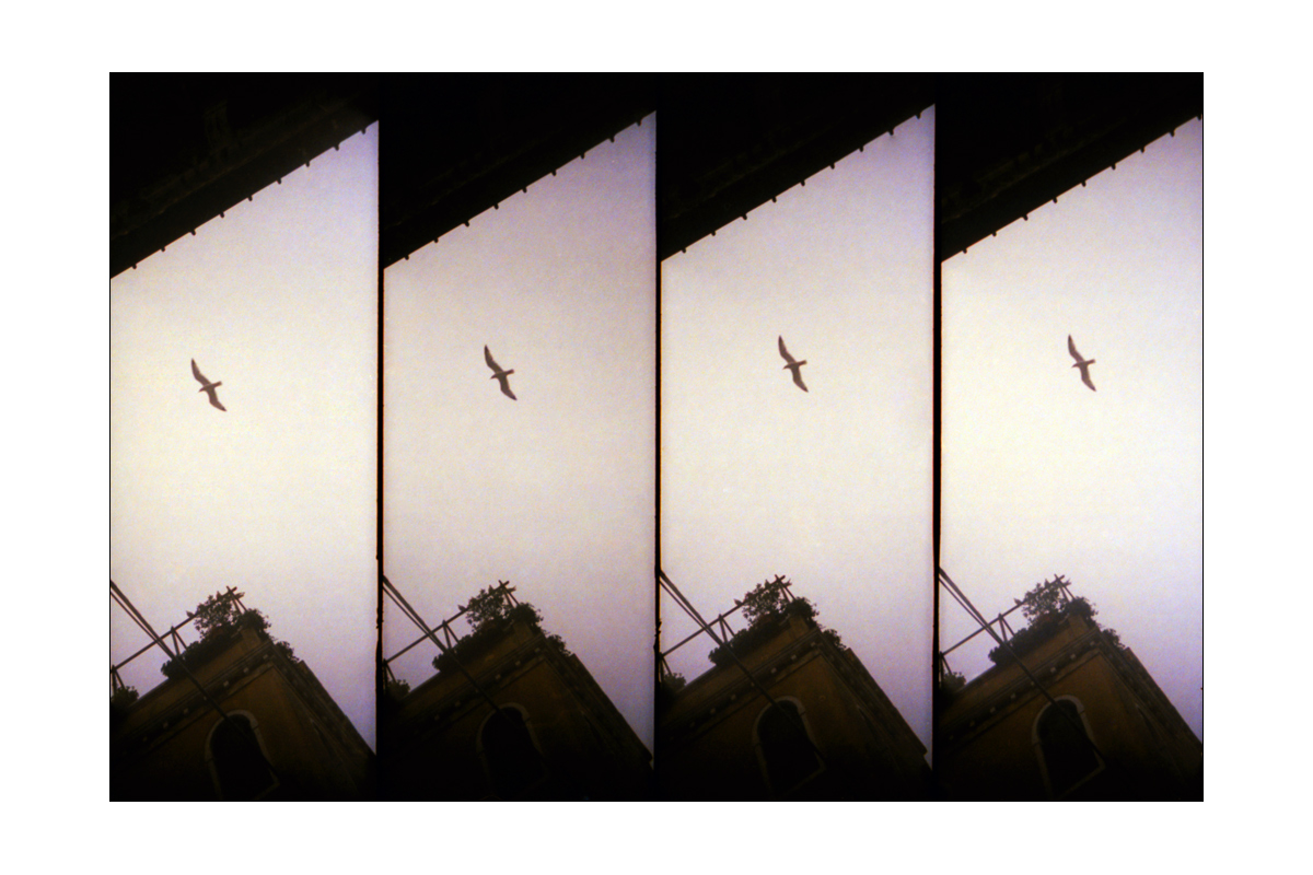 photography fotografie ingo schmitz 68pix ingoschmitz.com